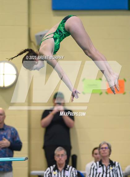 Thumbnail 2 in CHSAA 5A Dive Finals photogallery.
