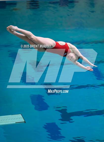 Thumbnail 1 in CHSAA 5A Dive Finals photogallery.