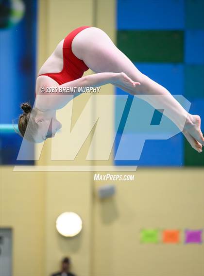 Thumbnail 2 in CHSAA 5A Dive Finals photogallery.