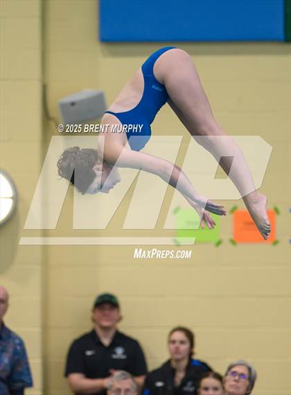 Thumbnail 1 in CHSAA 5A Dive Finals photogallery.
