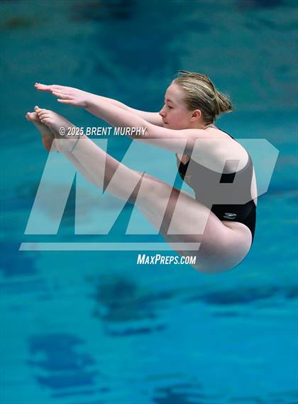 Thumbnail 2 in CHSAA 5A Dive Finals photogallery.