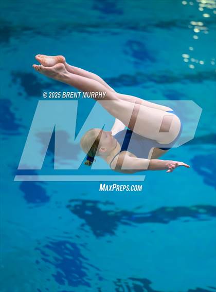 Thumbnail 2 in CHSAA 5A Dive Finals photogallery.