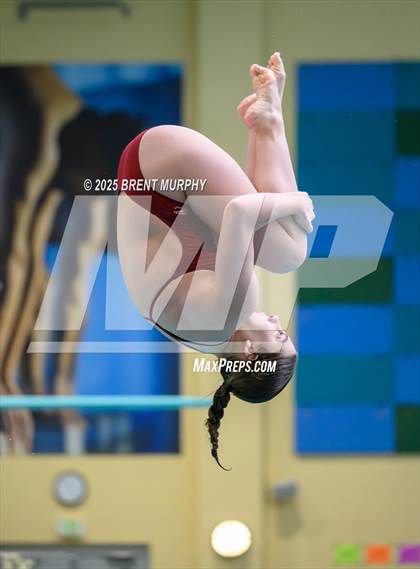 Thumbnail 2 in CHSAA 5A Dive Finals photogallery.