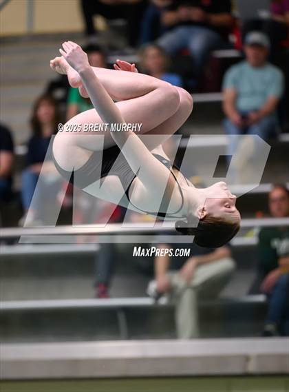 Thumbnail 3 in CHSAA 5A Dive Finals photogallery.