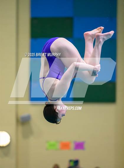 Thumbnail 2 in CHSAA 5A Dive Finals photogallery.