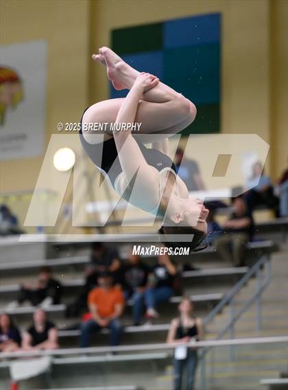 Thumbnail 3 in CHSAA 5A Dive Finals photogallery.