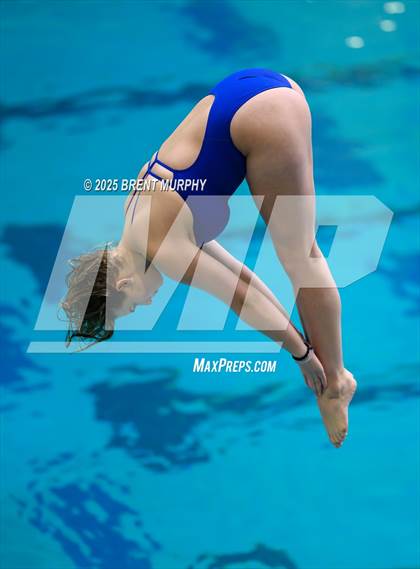 Thumbnail 1 in CHSAA 5A Dive Finals photogallery.
