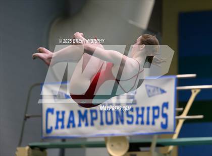 Thumbnail 1 in CHSAA 5A Dive Finals photogallery.