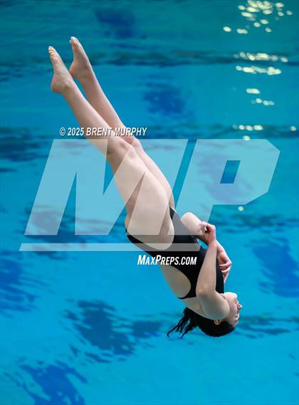 Thumbnail 2 in CHSAA 5A Dive Finals photogallery.