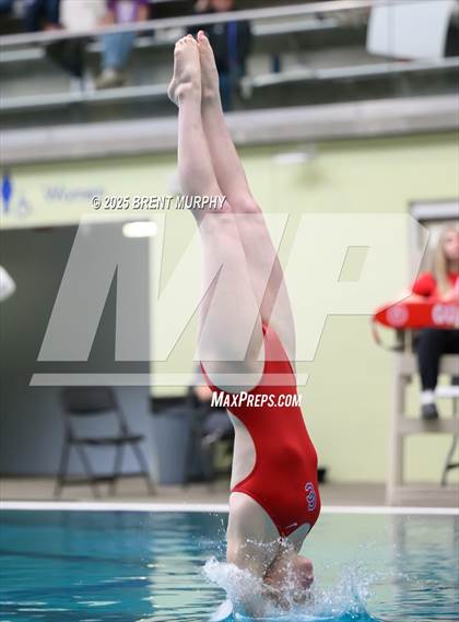 Thumbnail 1 in CHSAA 5A Dive Finals photogallery.