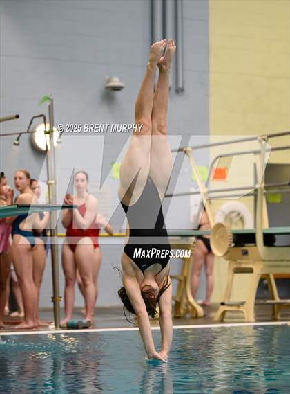 Thumbnail 1 in CHSAA 5A Dive Finals photogallery.