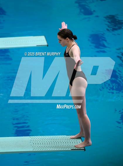 Thumbnail 1 in CHSAA 5A Dive Finals photogallery.