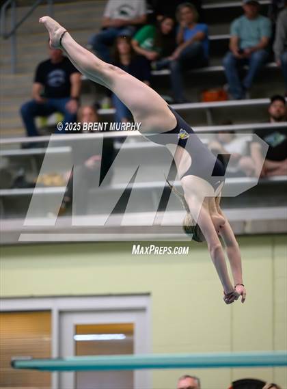 Thumbnail 2 in CHSAA 5A Dive Finals photogallery.