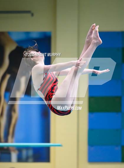 Thumbnail 3 in CHSAA 5A Dive Finals photogallery.