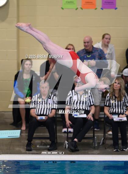 Thumbnail 3 in CHSAA 5A Dive Finals photogallery.