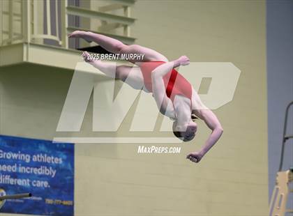 Thumbnail 2 in CHSAA 5A Dive Finals photogallery.