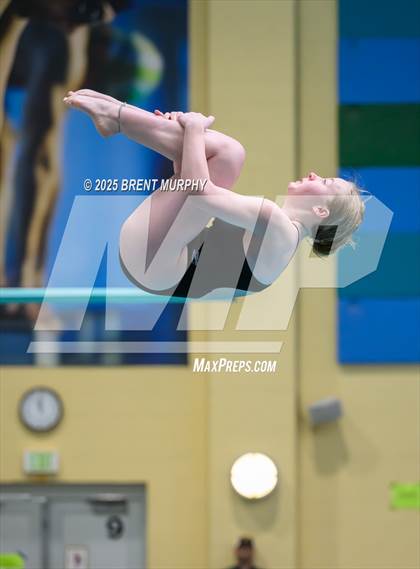 Thumbnail 3 in CHSAA 5A Dive Finals photogallery.