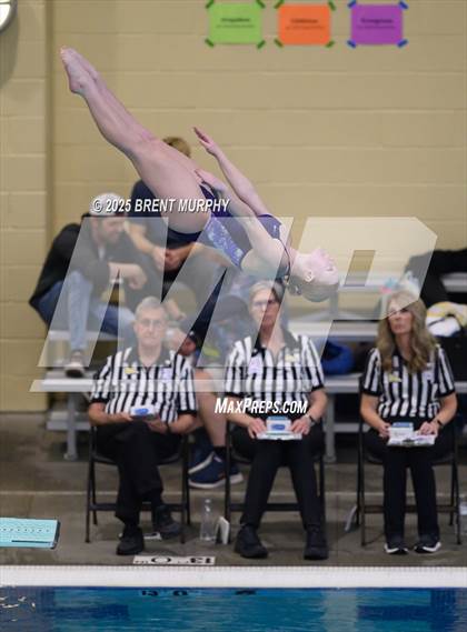 Thumbnail 1 in CHSAA 5A Dive Finals photogallery.