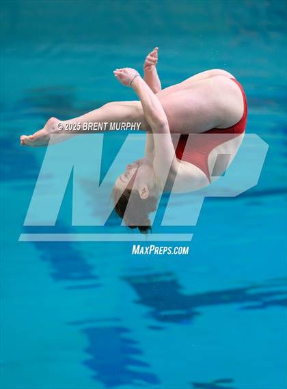 Thumbnail 1 in CHSAA 5A Dive Finals photogallery.