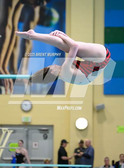 Thumbnail 1 in CHSAA 5A Dive Finals photogallery.