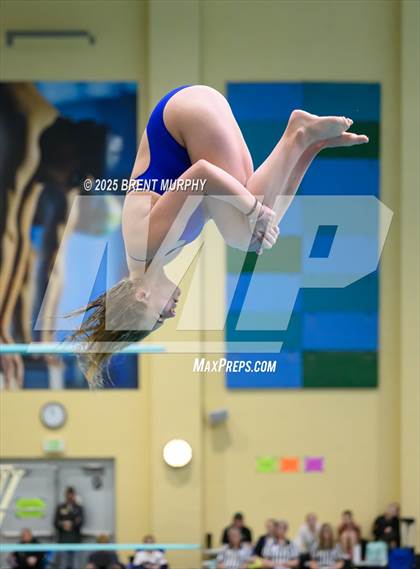 Thumbnail 1 in CHSAA 5A Dive Finals photogallery.