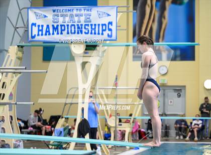 Thumbnail 3 in CHSAA 5A Dive Finals photogallery.