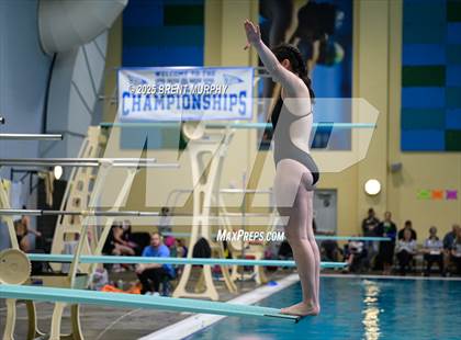 Thumbnail 2 in CHSAA 5A Dive Finals photogallery.