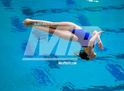 Thumbnail 1 in CHSAA 5A Dive Finals photogallery.