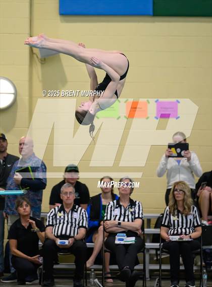 Thumbnail 3 in CHSAA 5A Dive Finals photogallery.