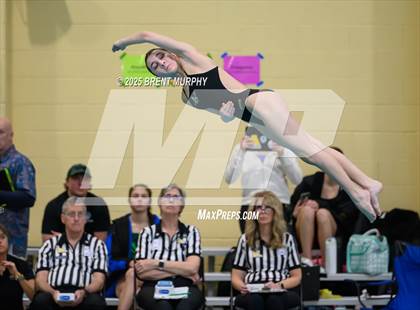 Thumbnail 1 in CHSAA 5A Dive Finals photogallery.