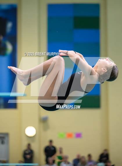 Thumbnail 2 in CHSAA 5A Dive Finals photogallery.