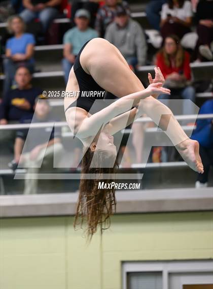 Thumbnail 1 in CHSAA 5A Dive Finals photogallery.