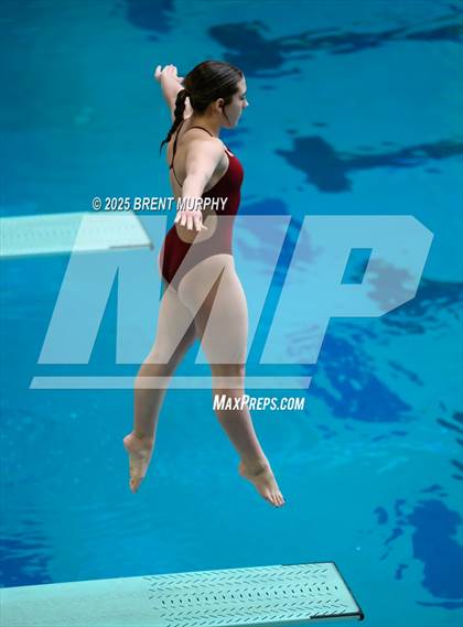 Thumbnail 1 in CHSAA 5A Dive Finals photogallery.