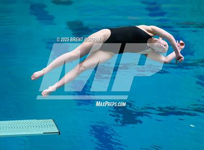 Thumbnail 1 in CHSAA 5A Dive Finals photogallery.