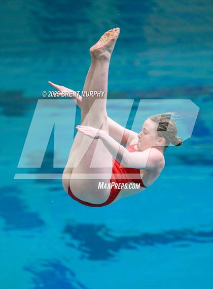 Thumbnail 1 in CHSAA 5A Dive Finals photogallery.