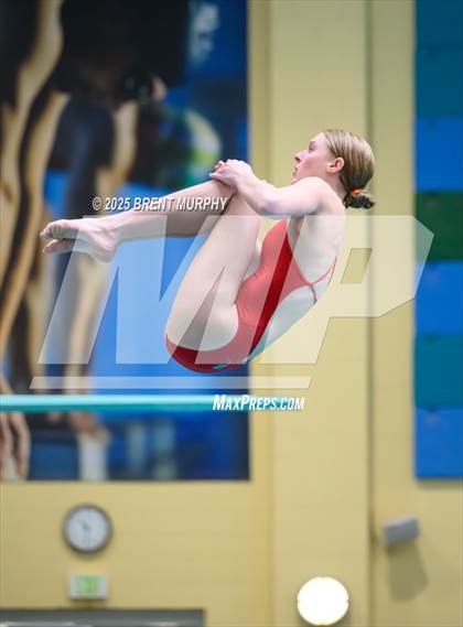 Thumbnail 3 in CHSAA 5A Dive Finals photogallery.