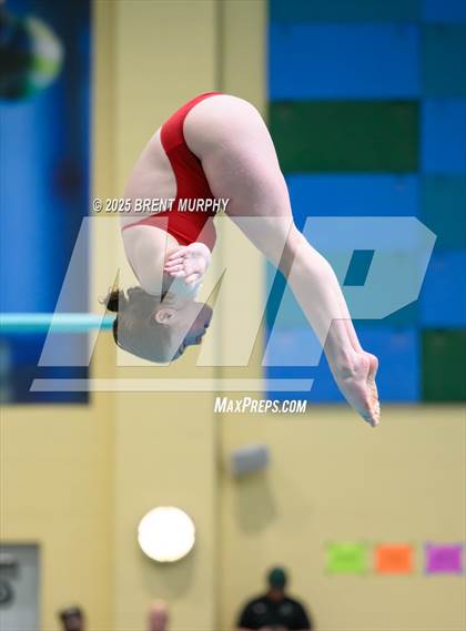 Thumbnail 1 in CHSAA 5A Dive Finals photogallery.