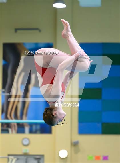 Thumbnail 1 in CHSAA 5A Dive Finals photogallery.