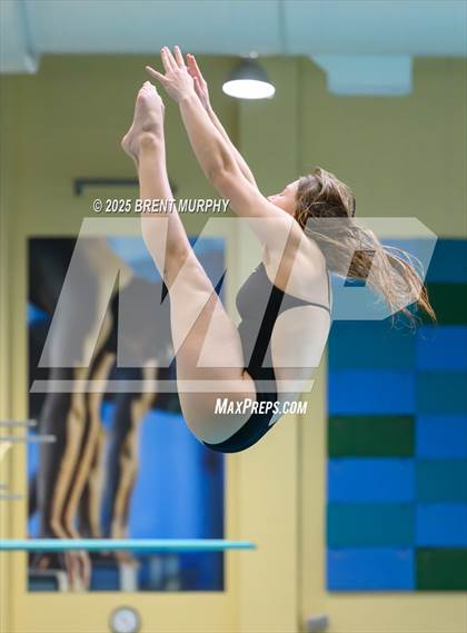 Thumbnail 3 in CHSAA 5A Dive Finals photogallery.