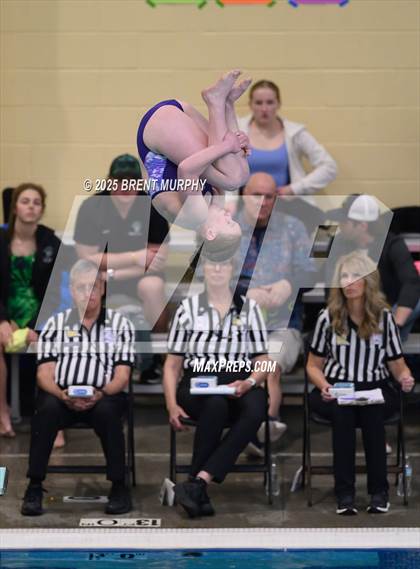 Thumbnail 1 in CHSAA 5A Dive Finals photogallery.