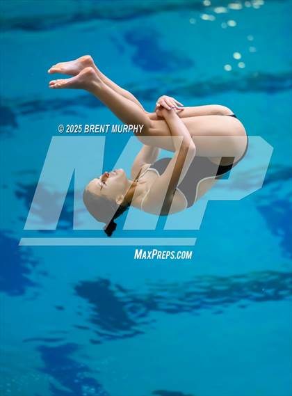 Thumbnail 3 in CHSAA 5A Dive Finals photogallery.