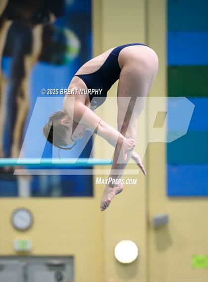 Thumbnail 3 in CHSAA 5A Dive Finals photogallery.