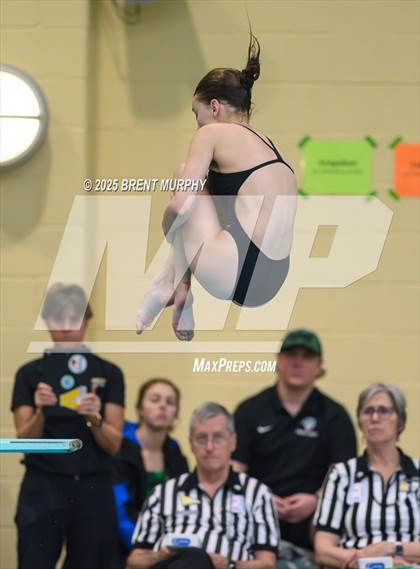 Thumbnail 1 in CHSAA 5A Dive Finals photogallery.