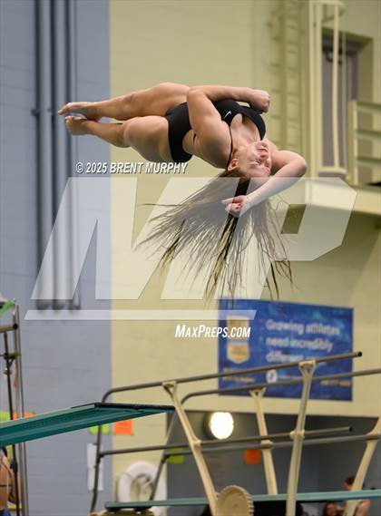 Thumbnail 1 in CHSAA 5A Dive Finals photogallery.