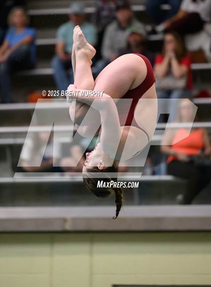 Thumbnail 2 in CHSAA 5A Dive Finals photogallery.