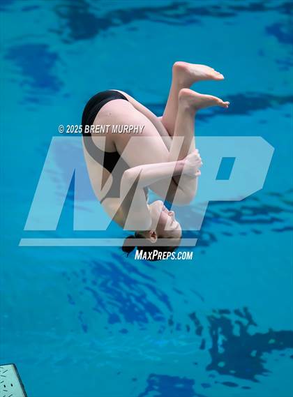 Thumbnail 2 in CHSAA 5A Dive Finals photogallery.