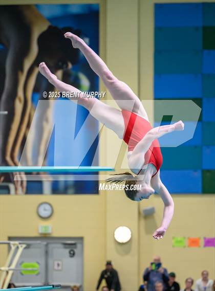 Thumbnail 3 in CHSAA 5A Dive Finals photogallery.