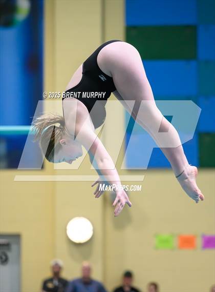 Thumbnail 2 in CHSAA 5A Dive Finals photogallery.