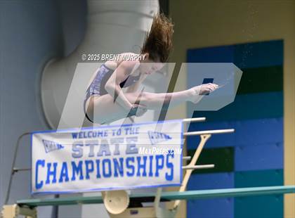 Thumbnail 1 in CHSAA 5A Dive Finals photogallery.