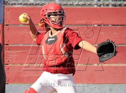Thumbnail 2 in Gladstone vs Wilson photogallery.